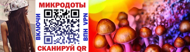 Купить  Светлогорск  Галлюциногенные грибы Psilocybe 